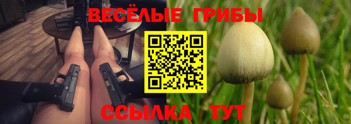 Галлюциногенные грибы Cubensis Барнаул